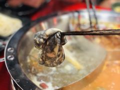 -谭鸭血老火锅(慈云寺店)
