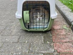 -全心全意连锁动物医院(加州店)