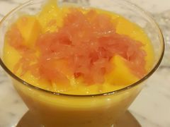 杨枝甘露-自由之丘