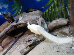 -苏州海洋馆