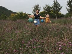 -黄陂区野村谷景区