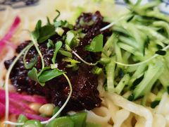 炸酱面-老北京私房菜(798店)