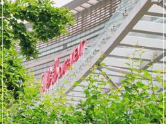 -上海中医药大学附属曙光医院(东部)