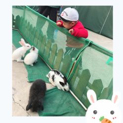 -梦田都市农场(银泰城店)