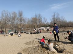 -东郊湿地公园
