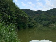 -黄埔油麻山森林公园