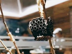 -园里火锅(仁和新城店)