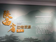 -陕西自然博物馆