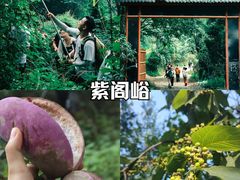 -秦岭风景区