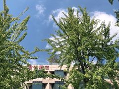 -杭州君悦酒店