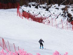 -叠溪松坪沟景区