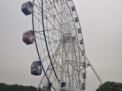 -花博汇(知音花月夜)