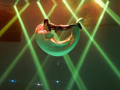 -芜湖新华联大白鲸海洋公园