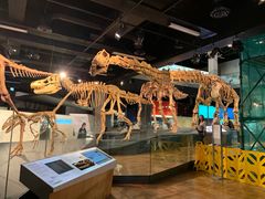 -墨尔本博物馆(Melbourne Museum)