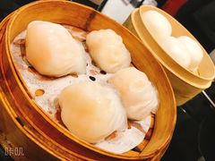 -高第街56号港式餐厅·精选(世茂广场宽厚里大明湖店)