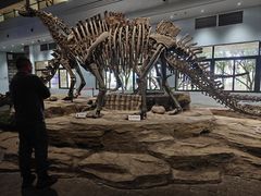 -自贡恐龙博物馆