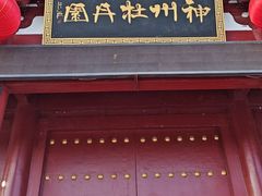 -神州牡丹园