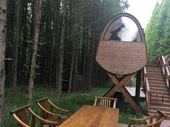 -黄海国家森林公园