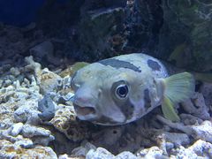 -华夏文旅西安度假区