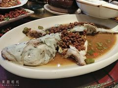 -胖大姐黄辣丁鱼庄(新津店)