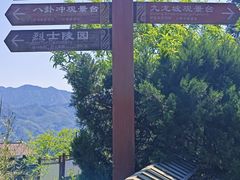 -紫鹊界梯田景区
