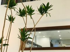-不正咖啡(万达尊店)