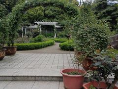 -南山植物园