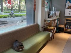 -御宝贝·A梦猫科宠物医院(国际猫友好医院)