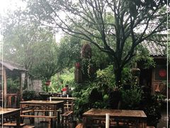 -青城甲(青城山店)