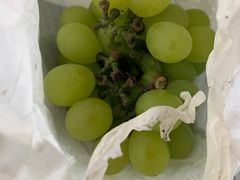 -马陆小张葡萄园农家乐