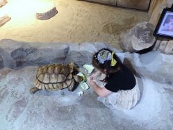 -酷嗒动物文化乐园(cutezoo西溪乐天城店)