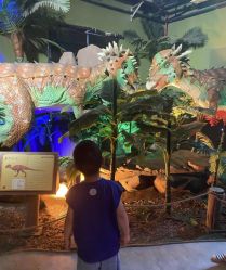 -恐龙探索乐园(磁器口店)