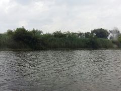 android_upload_pic-呈贡滇池生态湿地公园