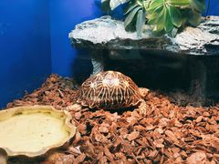 -上海海洋水族馆