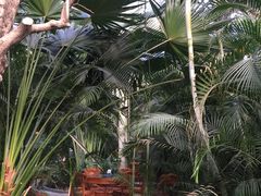 -龙达温泉生态城