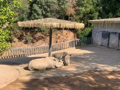 -泉州海丝野生动物世界