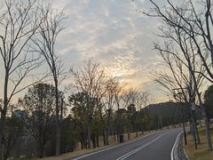 -牛岗山公园