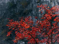 -九鼎铁刹山风景区