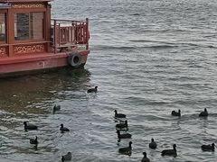 -济南大明湖景区