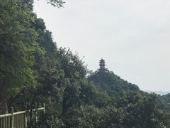 -塔云山