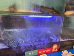 -鱼酷活鱼烤鱼(南京水游城店)