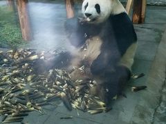 -无锡动物园·太湖欢乐园