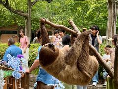 -宁波野生动物园