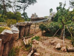 -宁波野生动物园