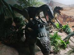 -国家自然博物馆