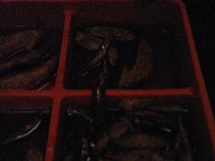 -索拉古贝(义乌北苑店)