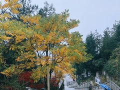 -重庆云阳龙缸景区