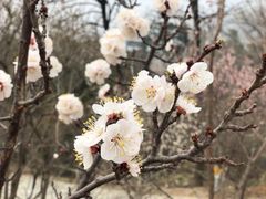 -鹫峰国家森林公园