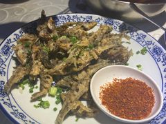 -高坎一品甲鱼庄(两河店)