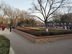 -康庄公园